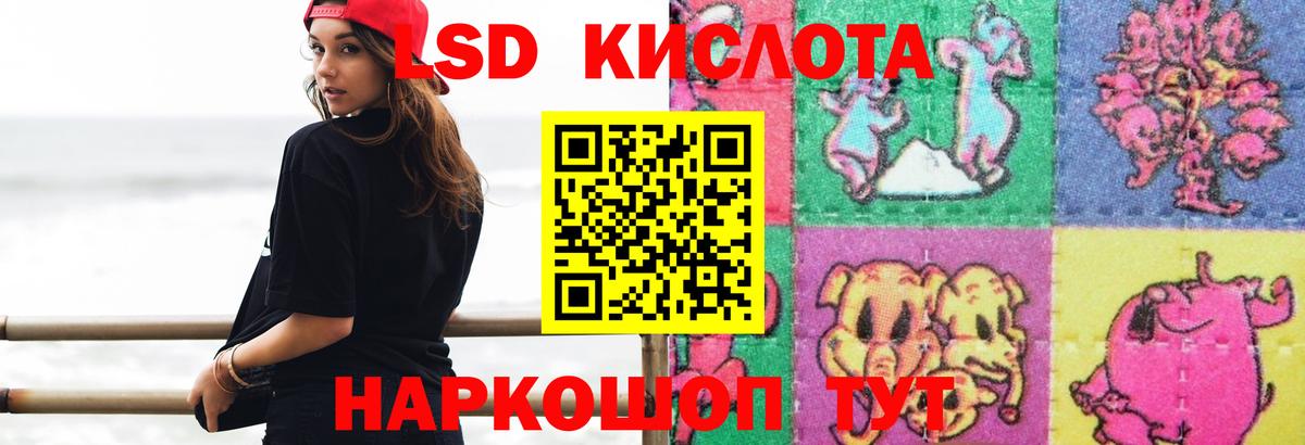 Псилоцибиновые грибы Новошахтинск