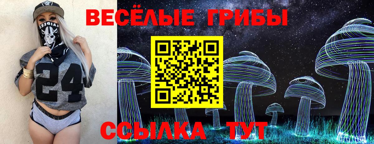 Галлюциногенные грибы Psilocybe  Галлюциногенные грибы Magic Shrooms  Вход с VPN  Новошахтинск 